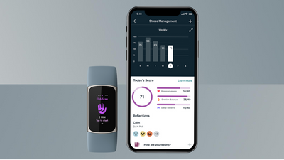Latest Fitbit update brings revamped stress management section to users