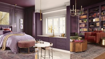 Is this rich hue replacing red for 2025? Meet Glidden's Color of The Year 'Purple Basil'