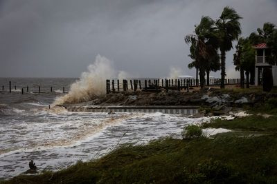 Watch live: Hurricane Helene moves up Florida coast hitting Tampa