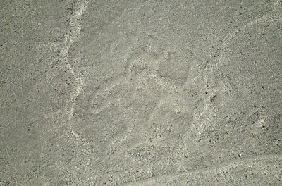 Archaeologists use AI to discover 303 unknown geoglyphs near Nazca Lines