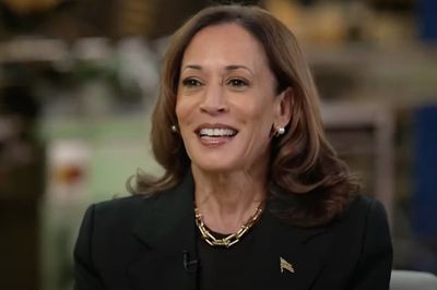 Harris pokes fun at Trump’s obsession with her McDonald’s job: ‘I did the fries’