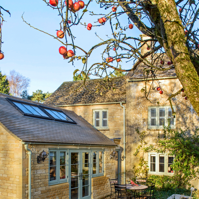 What to do if birds are nesting on your roof - now is the only time you can legally take any action