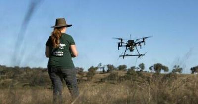 Telstra announces ACT Best of Business award winners