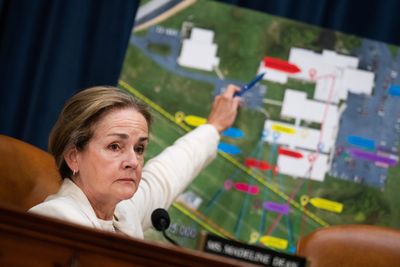 House task force hears from local officers on Trump rally shooting - Roll Call