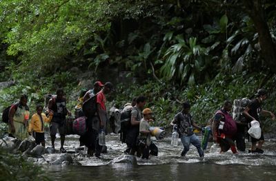 Panama Increases Pace of Deportations from Darien Gap as Part of Agreement with the U.S.