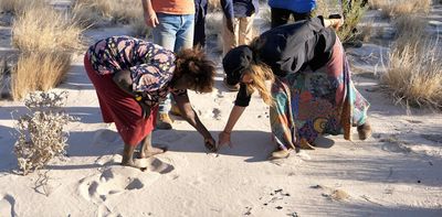 Reading desert sands – Indigenous wildlife tracking skills underpin vast monitoring project