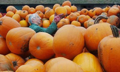 Autumn fun and feasting: 10 readers share their favourite seasonal events in the UK