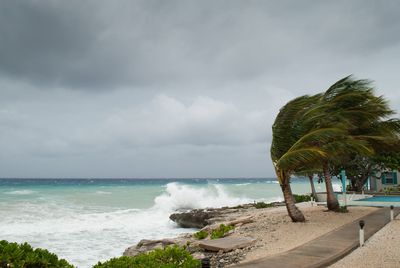 How to Prepare For a Hurricane and Other Natural Disasters