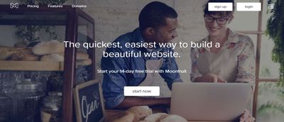 Moonfruit website builder review