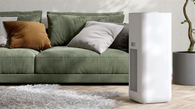 How to use a dehumidifier in the winter - to save money and keep your air healthier