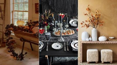 These are the best places to buy Halloween decor – 5 spookily chic collections worth shouting about