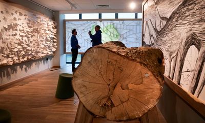 Sycamore Gap tree exhibition opens to mark a year since its felling