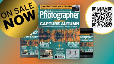 Shoot incredible autumnal landscape shots with Digital Photographer Magazine Issue 284, out now!