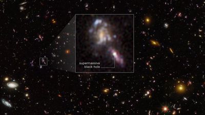 Hubble Space Telescope suggests our ancient universe was surprisingly crowded with supermassive black holes