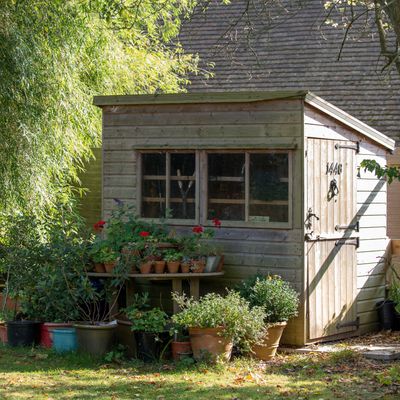 How to prepare your shed for winter – 7 tips for cleaning, repairing and putting your shed to bed