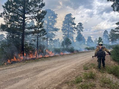 A Colorado Man Cremating His Canine Best Friend Accused Of Sparking Massive Wildfire