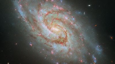 Hubble Space Telescope spies a spiral galaxy in a cosmic 'clock'