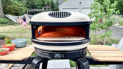 Gozney Arc pizza oven review: Style meets substance