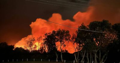 Firies battle blaze in challenging wetlands area south of Redhead