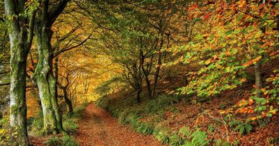 These Scottish spots are among the best in the UK to see the autumn colours