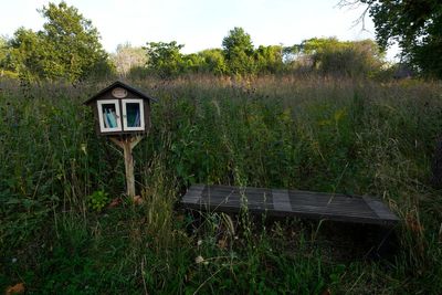 Urban communities that lack shade sizzle when it's hot. Trees are a climate change solution