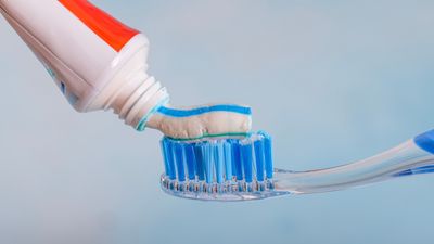 Researchers build a fully edible transistor using tooth-whitening pigments found in toothpaste