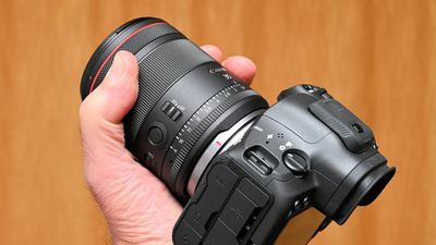 Canon RF 35mm F1.4L VCM review: a classic Canon lens, reinvented for mirrorless