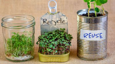 Zero waste gardening – 7 innovative ideas to make your garden greener