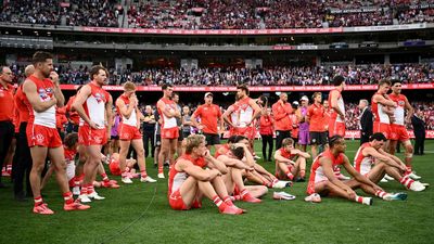 Swans weren't up for Lions challenge: Fox