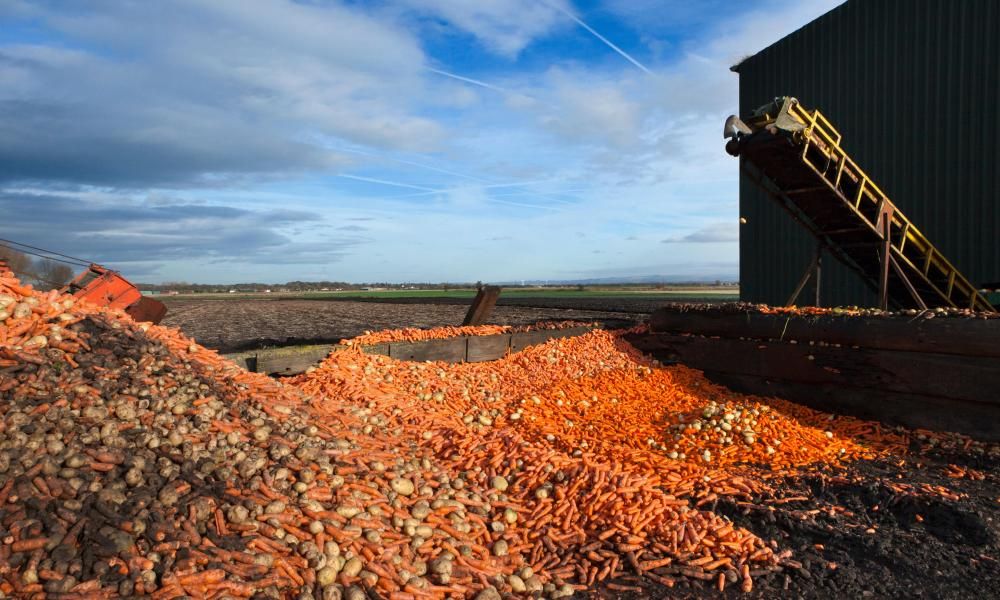 Force companies to report their food waste, say…
