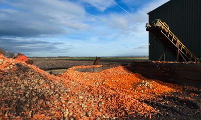 Force companies to report their food waste, say leading UK retailers