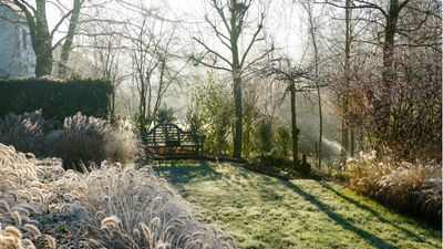 How to overwinter a garden – 5 steps for getting your plants through the coldest season