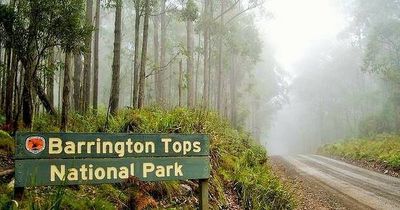 Shooting operation targets feral pests in Barrington national park