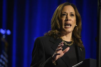 Kamala Harris is closing in on the perfect economic message—but the left’s price-gouging exaggerations could undermine it