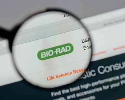 Bio-Rad Laboratories Stock: Is BIO Underperforming the Healthcare Sector?