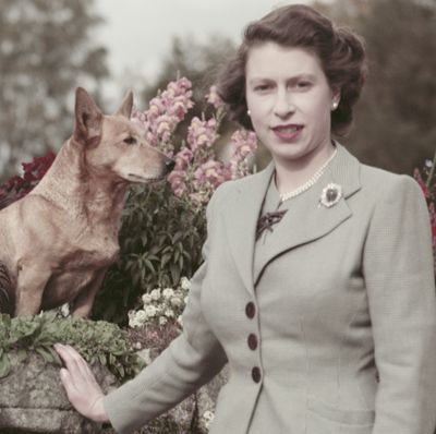 King Charles Reveals Why Queen Elizabeth “Chose to Spend Her Final Days” at Balmoral Castle