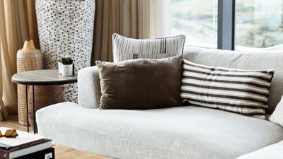 How often should you clean a couch? Experts suggest it is more often than you think