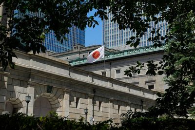 Japan's central bank survey underpins optimism about growth