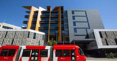 'So what did I do?' Accused work Christmas party rapist struggles to remember