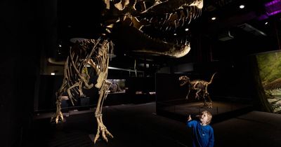 Taking a step back in time: school holiday fun launches at Newcastle museum