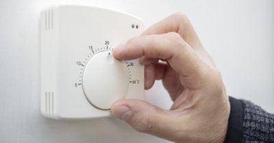 How to claim an Ovo electric blanket as energy price cap rises