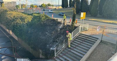 Fire next to Canberra Theatre was 'deliberately lit': police