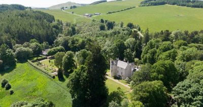 Three Scottish estates put up for sale by rewilding company