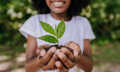 Why native trees are struggling – and how the Woodland Trust is stepping in