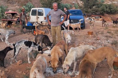 A man in South Lebanon cares for pets left behind as residents flee Israeli bombs