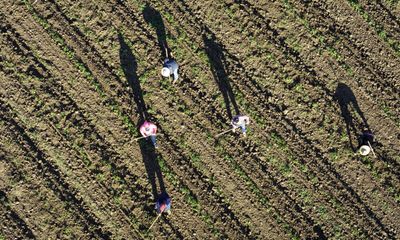 Newsom Vetoes Farmworker Heat Safety Bill as State Enforcement Has Fallen