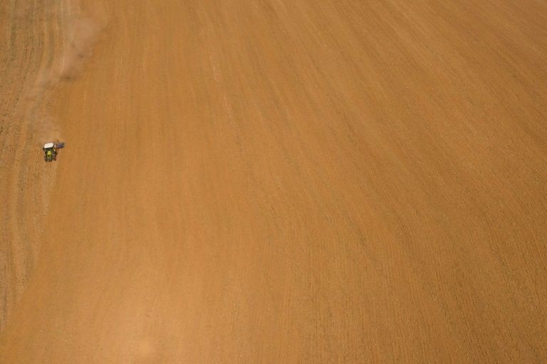 Can Music Help Plants Grow? Study Suggests Sound…