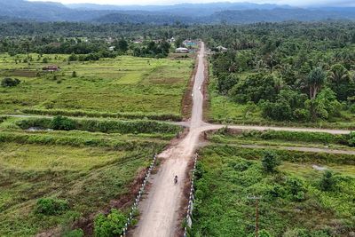 Countries, businesses and trade officials urge EU to rethink deforestation regulation