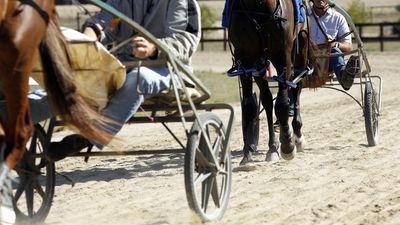 Horse abuse allegations prompt race charges