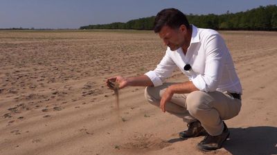 Romania's agriculture sector devastated by drought, desertification